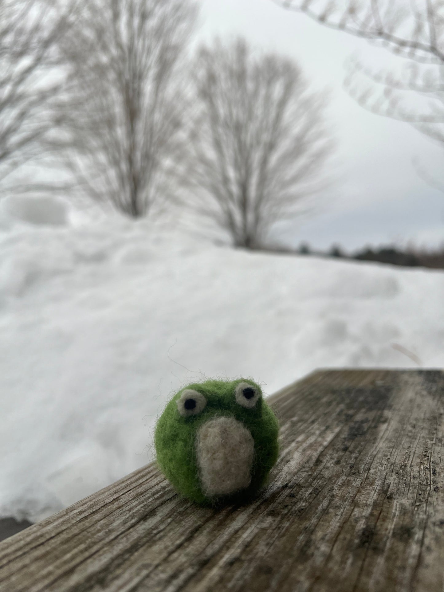 Needle Felted Frog
