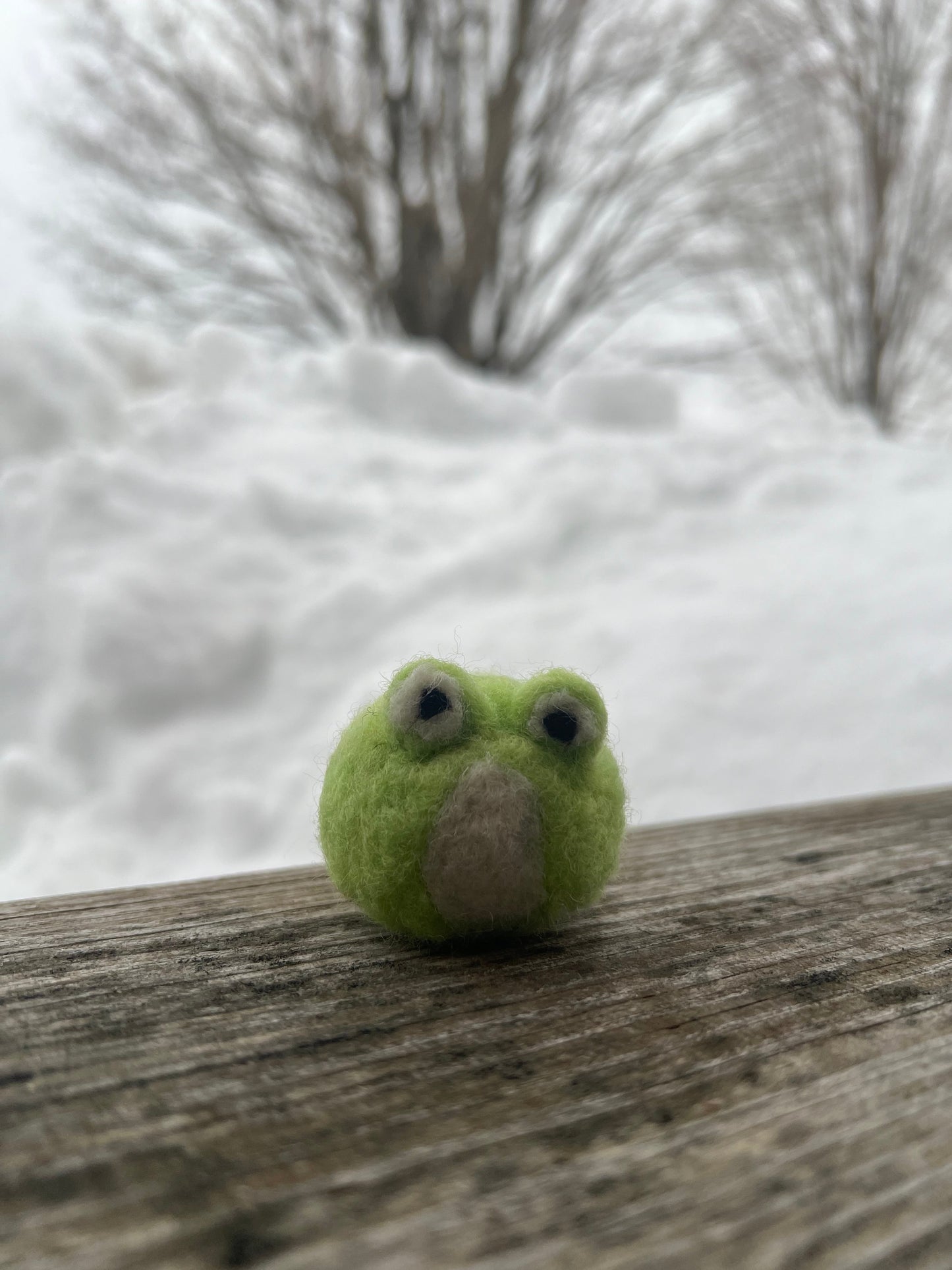 Needle Felted Frog