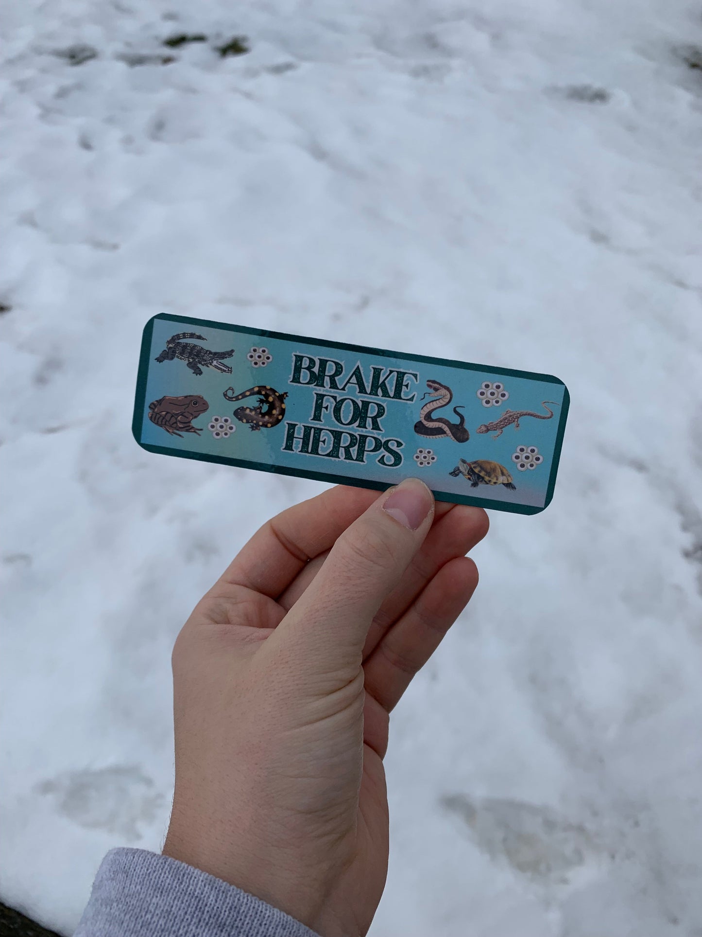 Brake For Herps Bookmark