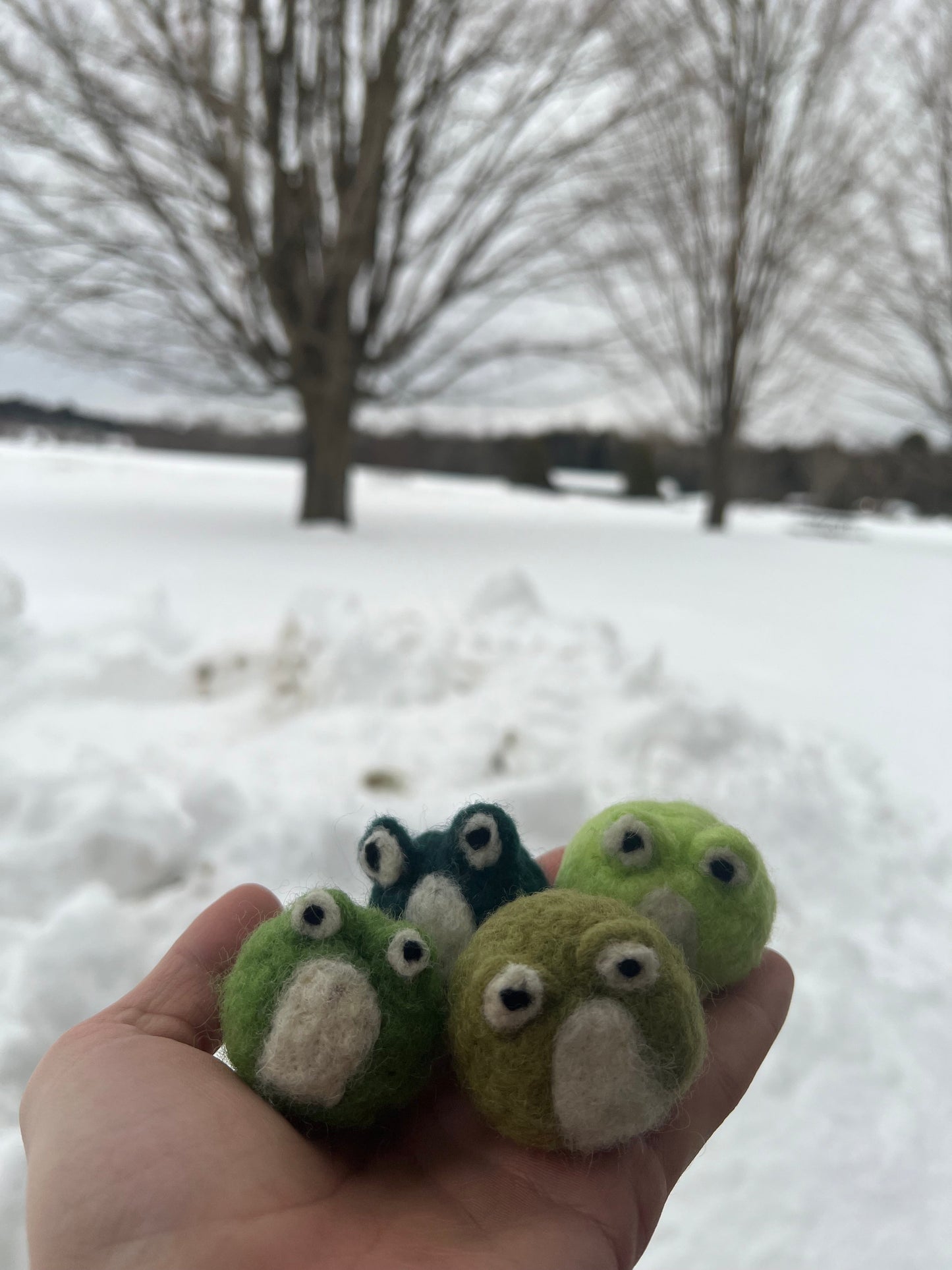 Needle Felted Frog