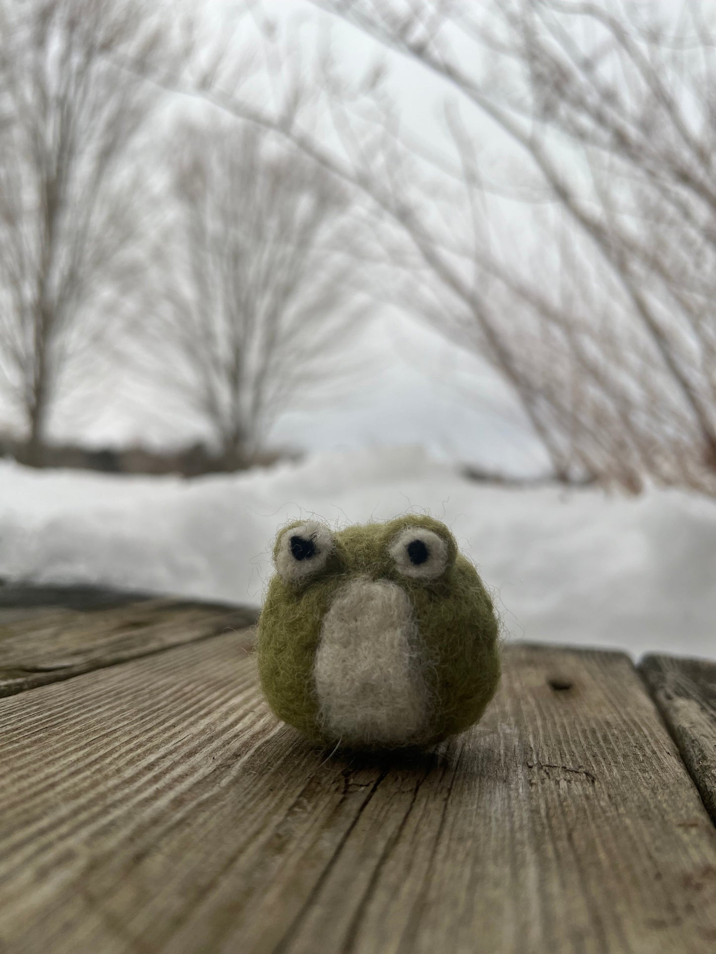 Needle Felted Frog