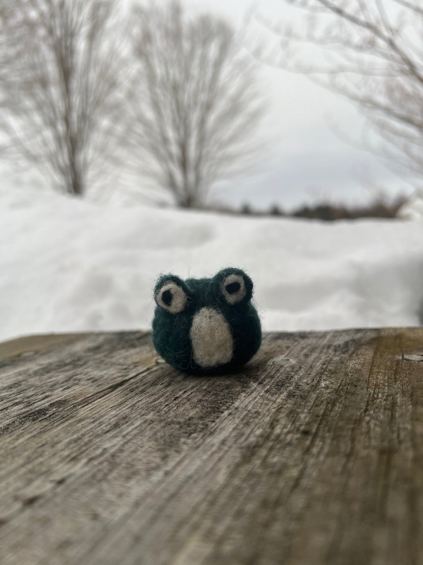Needle Felted Frog