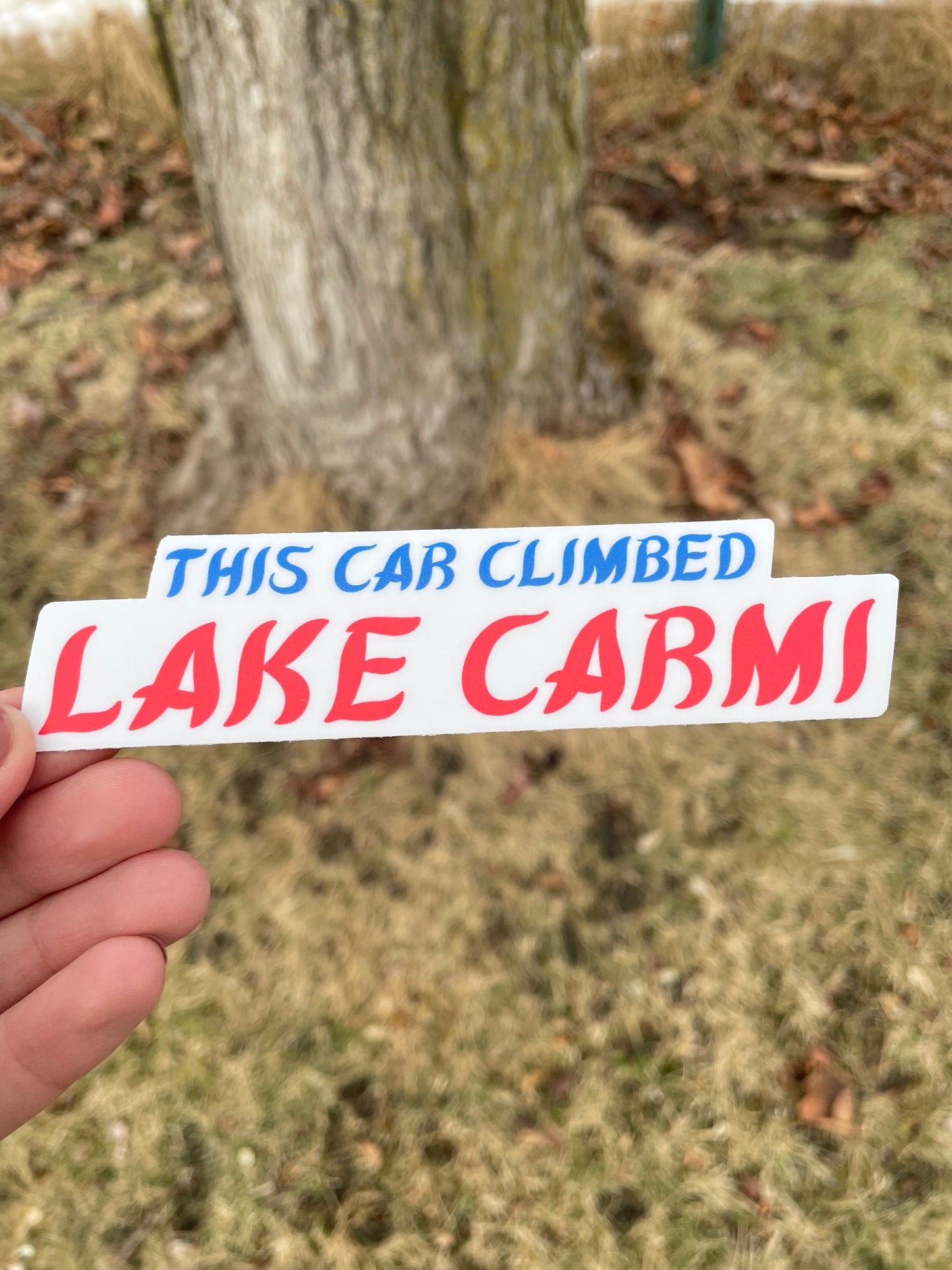This Car Climbed Mini Bumper Sticker