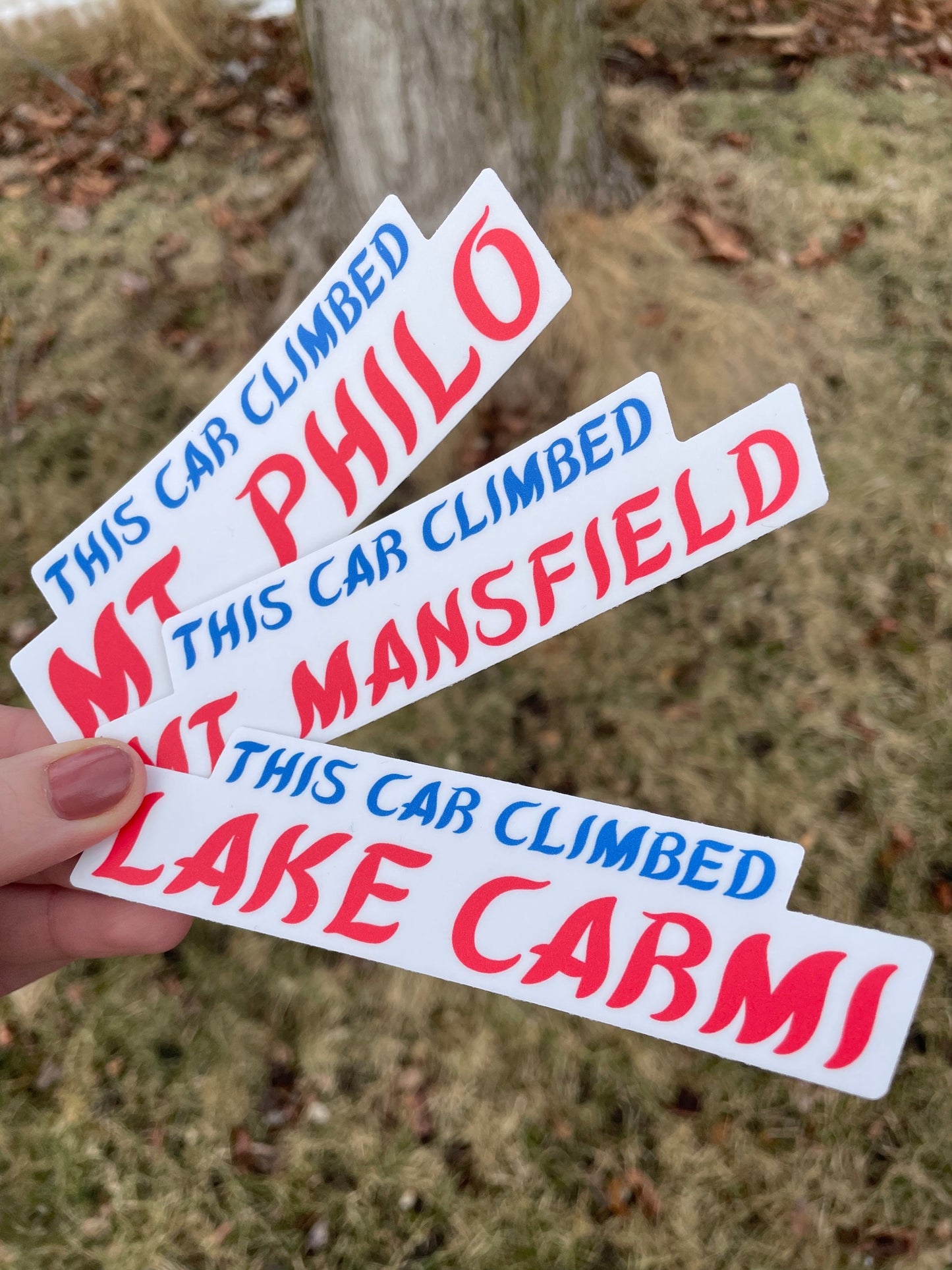 This Car Climbed Mini Bumper Sticker