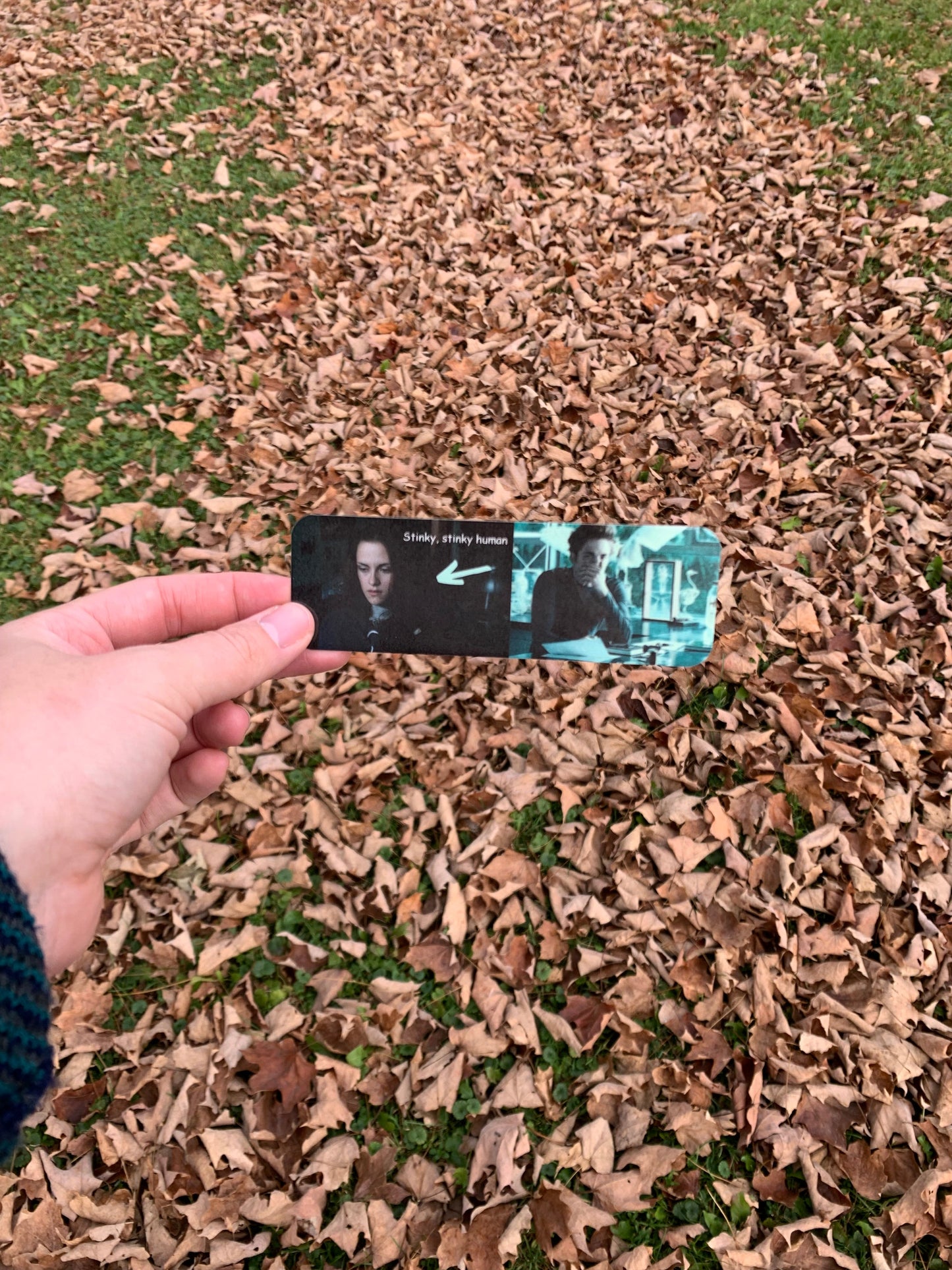 Stinky Human Bookmark