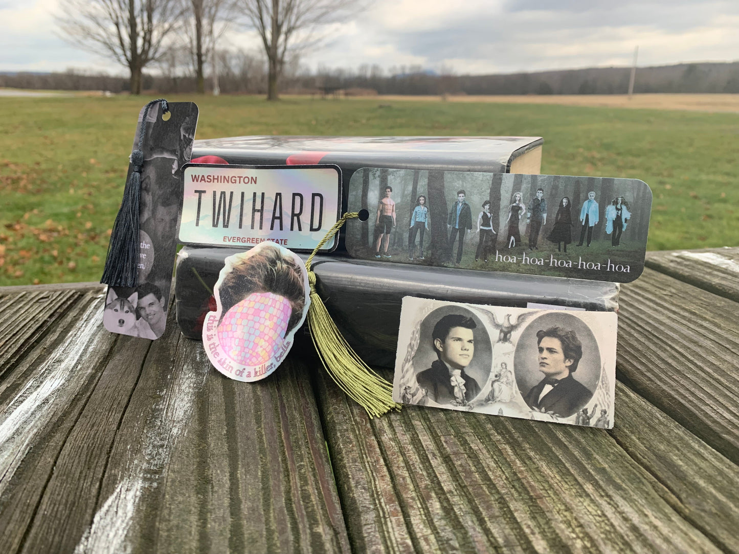 Team Twilight Sticker