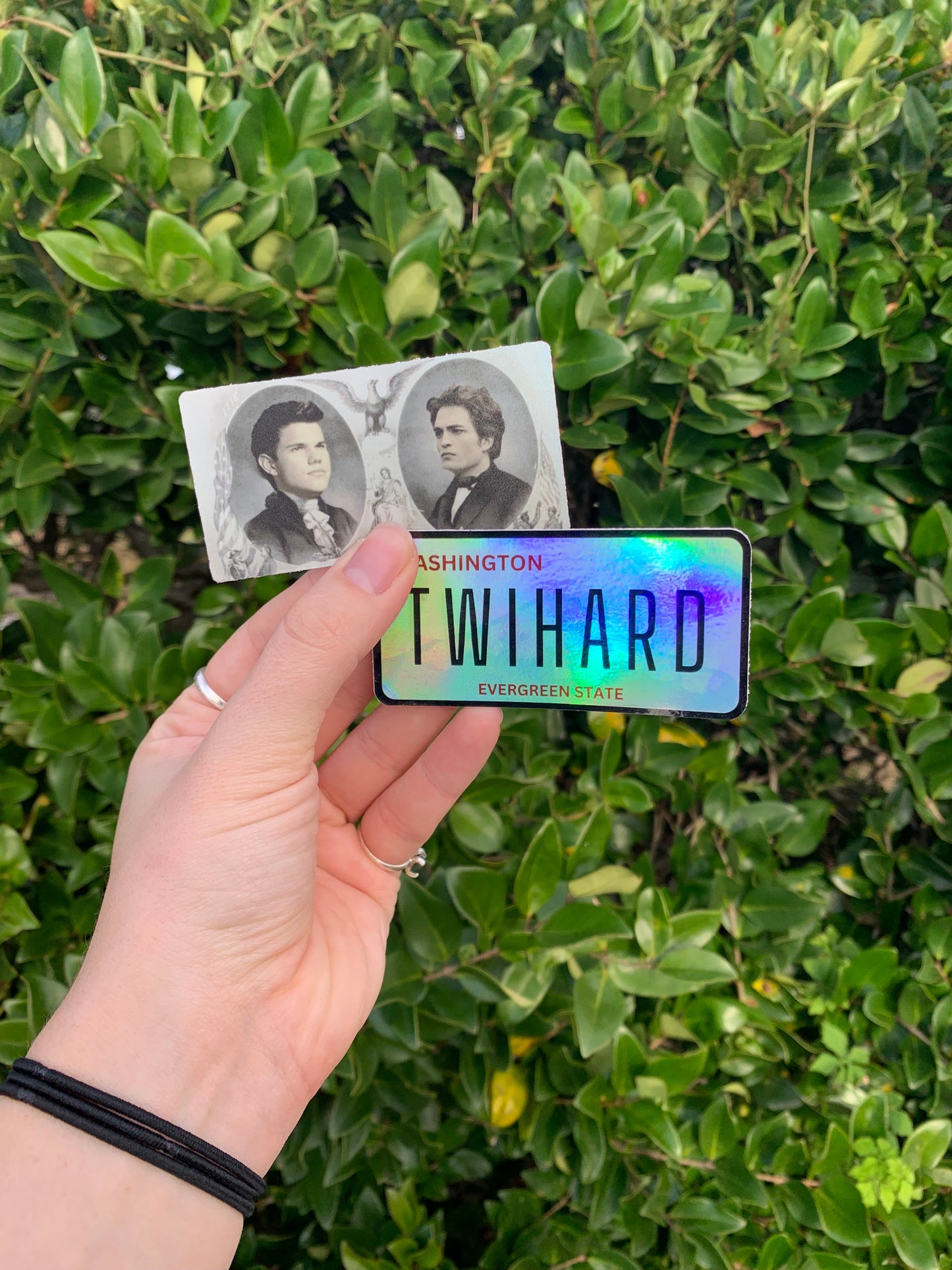 Team Twilight Sticker