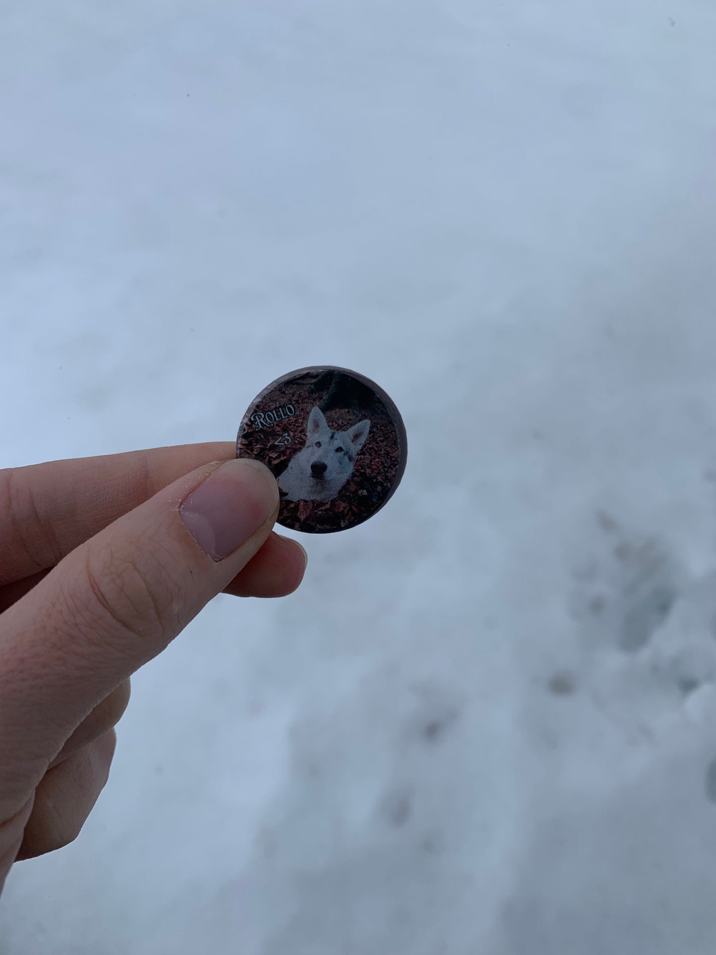 Outlander 1.25" Button