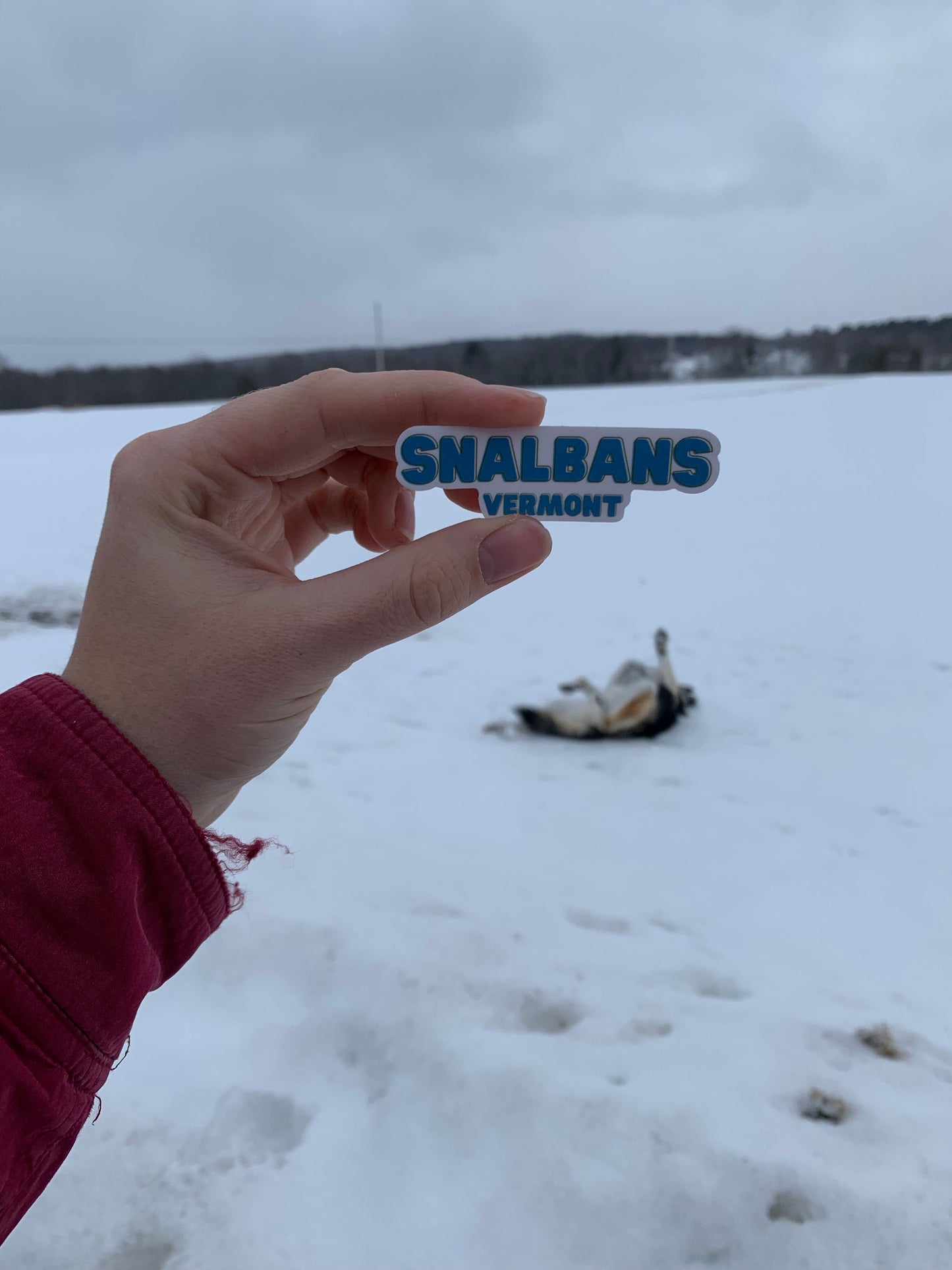 Snalbans Sticker