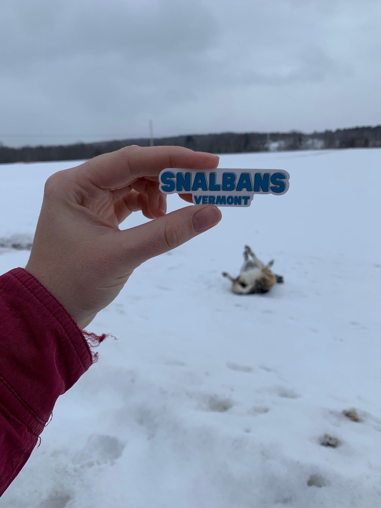 Snalbans Sticker