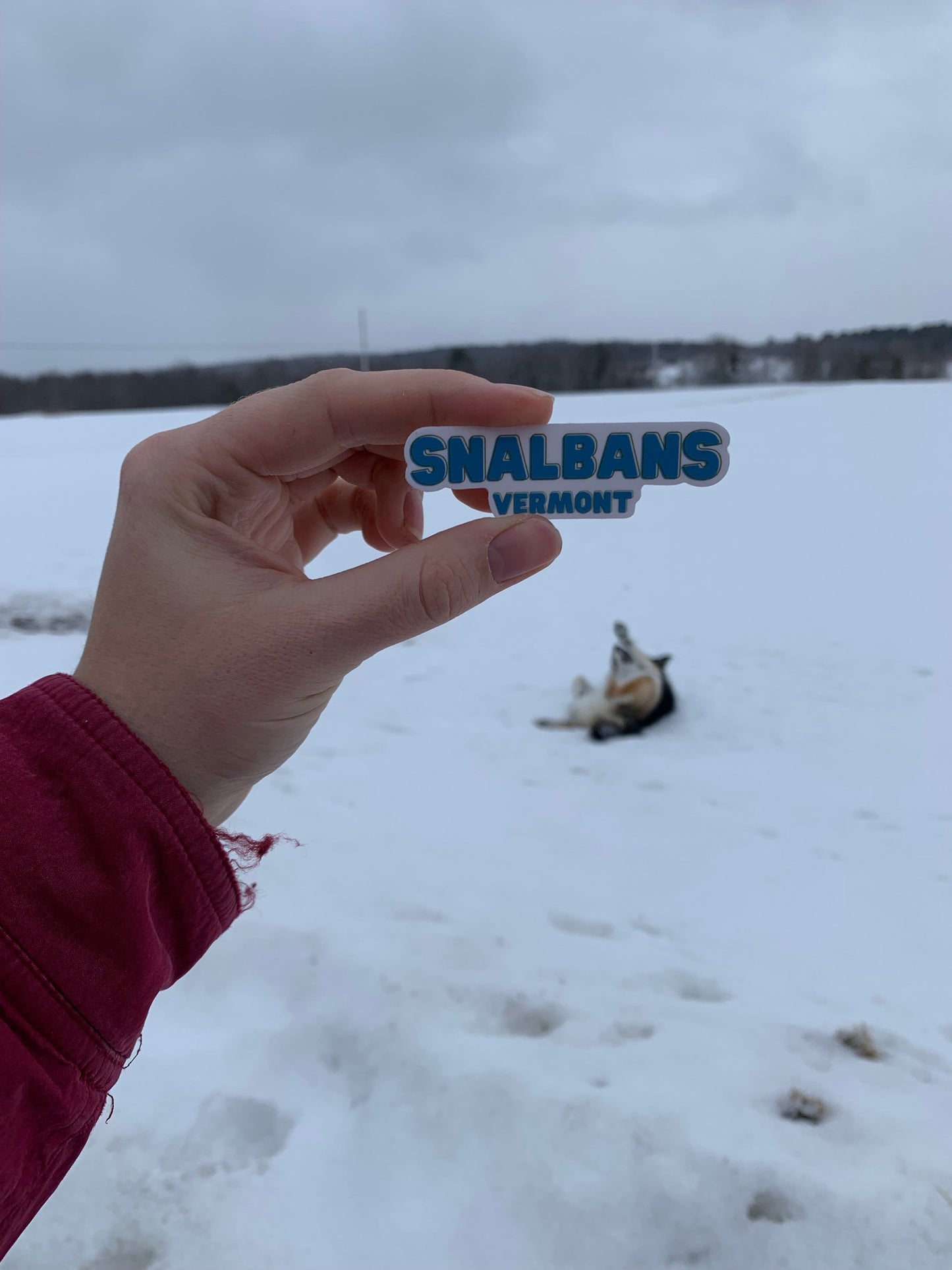 Snalbans Sticker