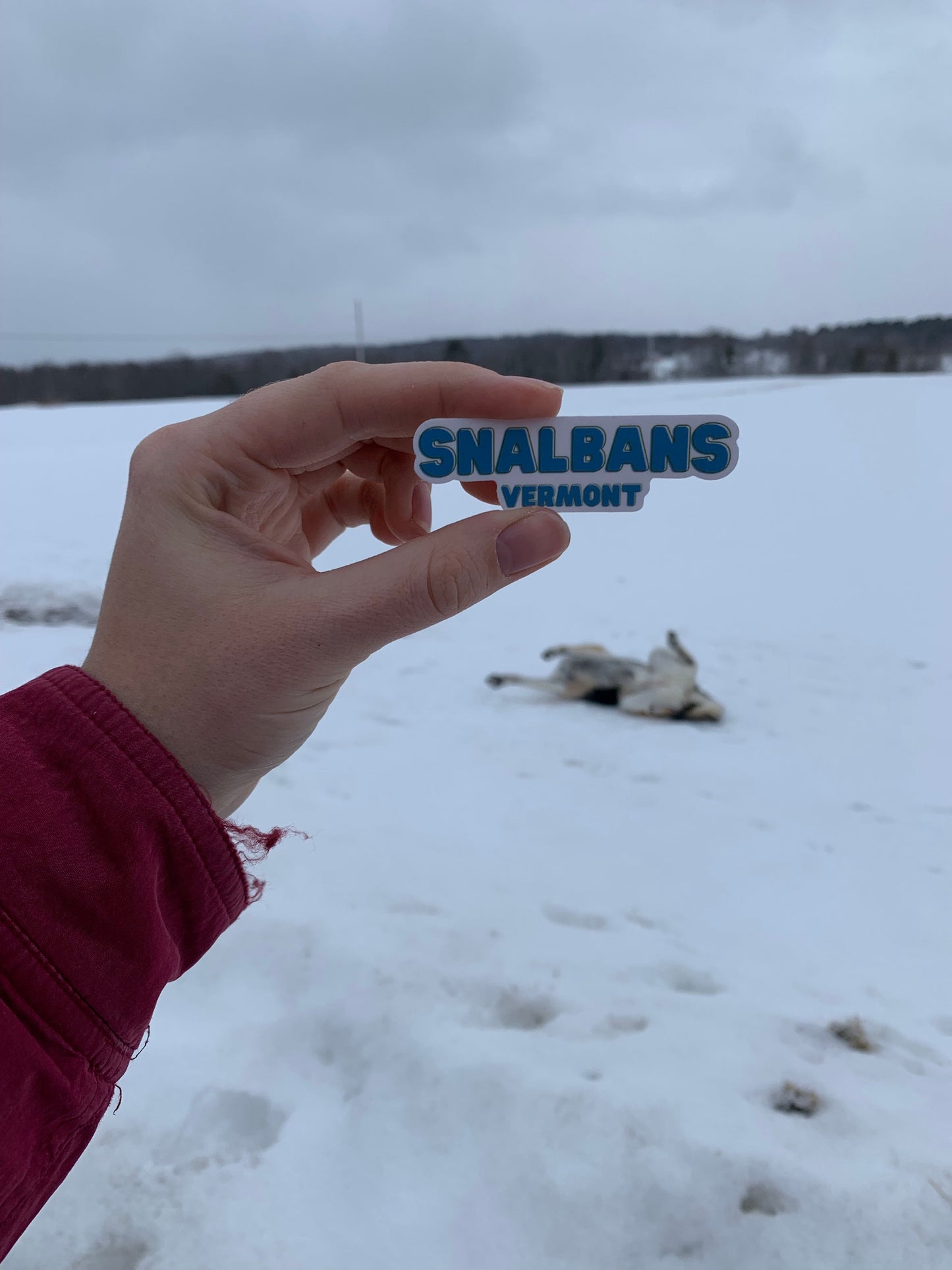 Snalbans Sticker