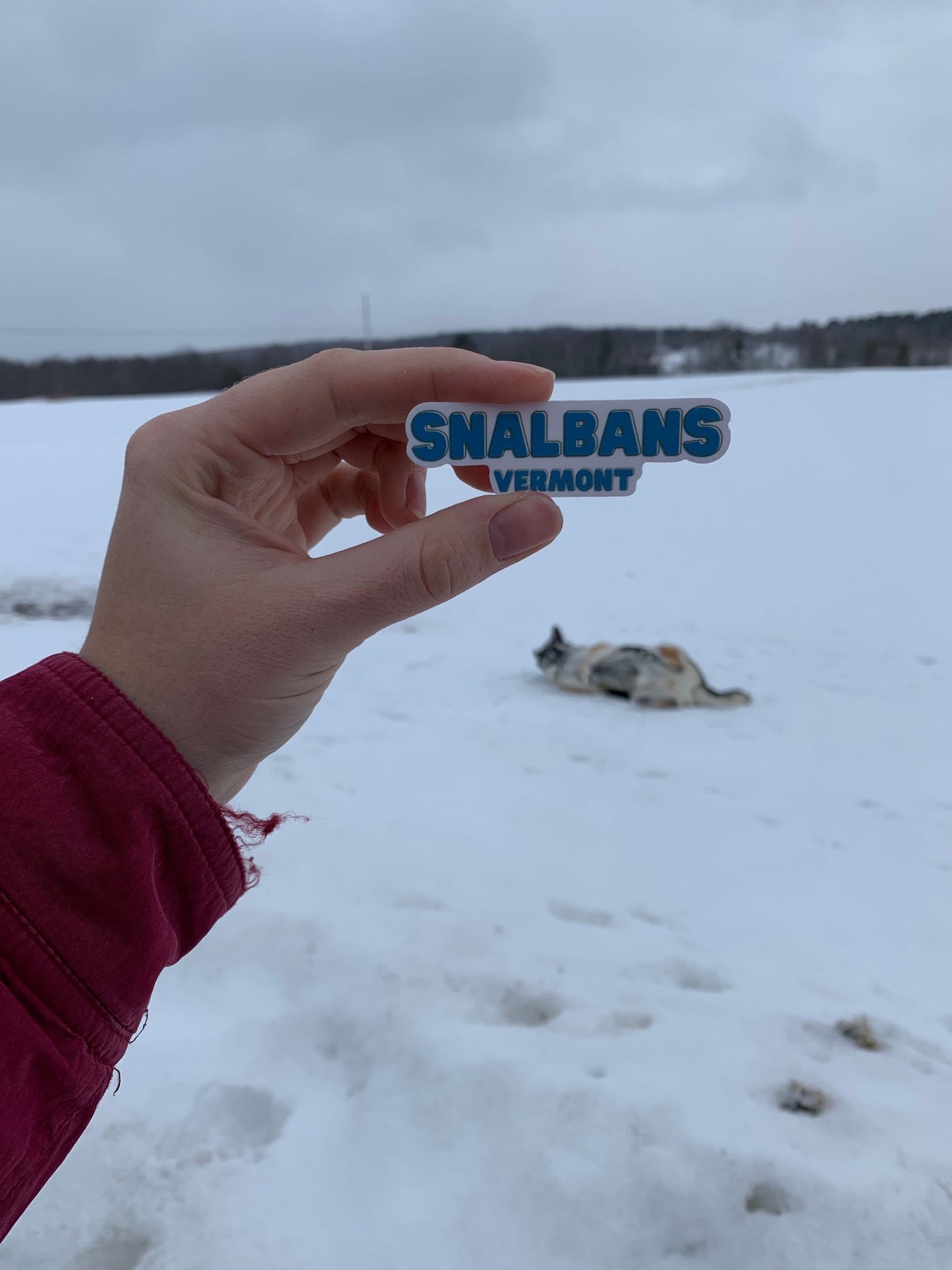 Snalbans Sticker