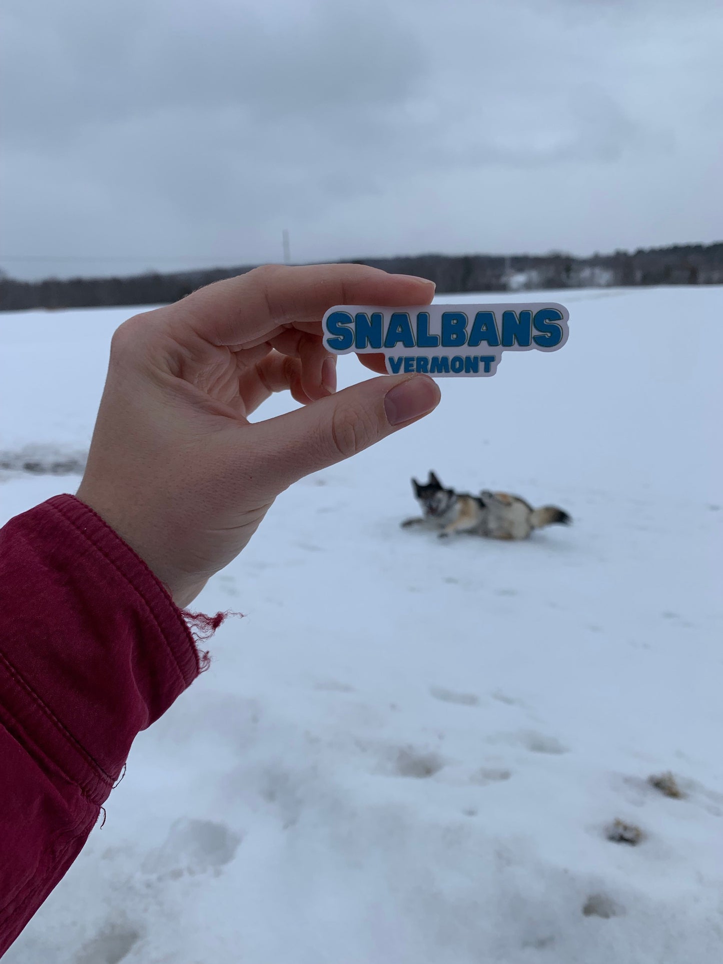 Snalbans Sticker