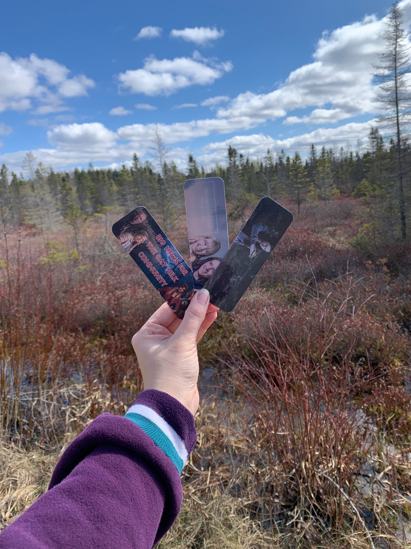 Twilight Eclipse Frog Bookmark