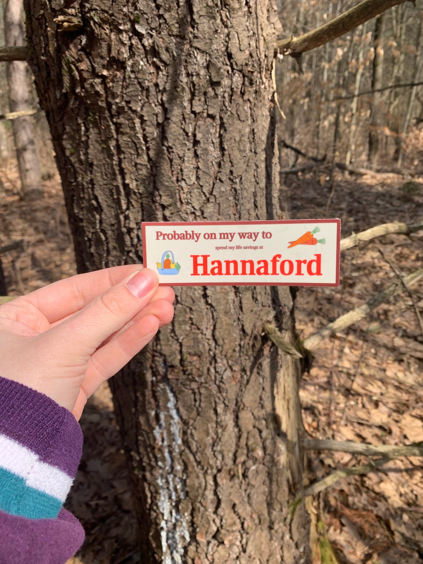 Hannaford Mini Bumper Sticker
