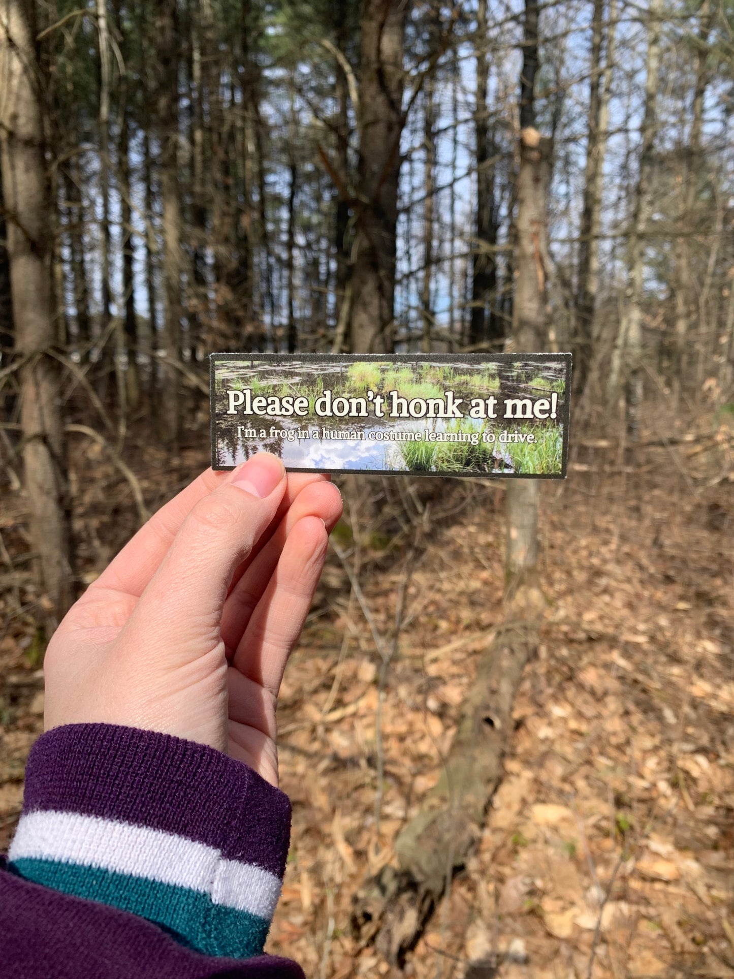 Frog In A Human Costume Mini Bumper Sticker