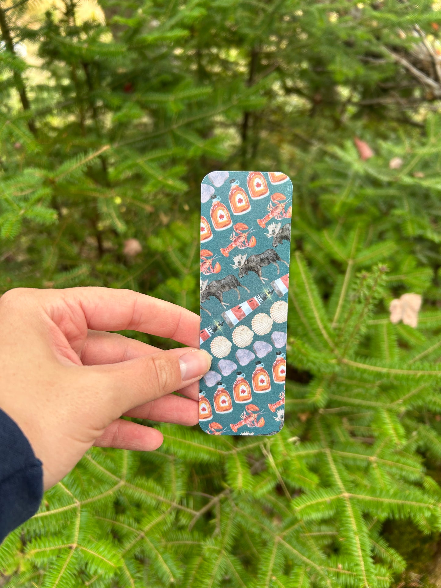 Maine Bookmark