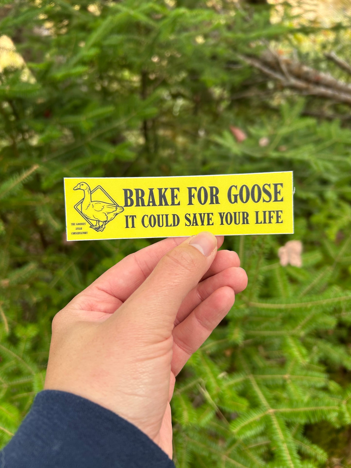Brake For Goose Sticker