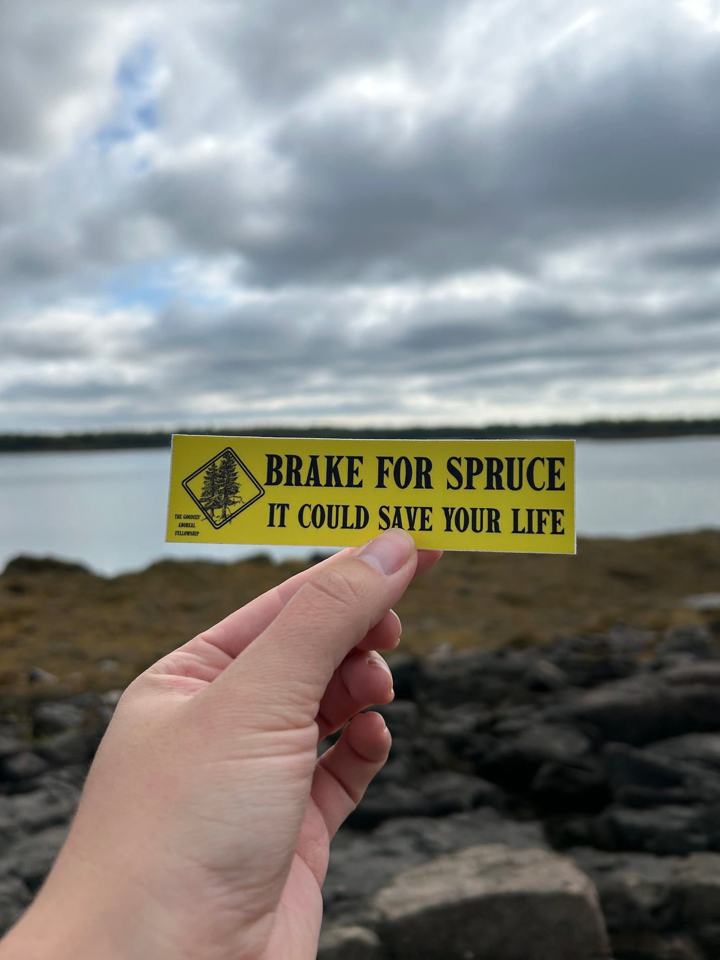Brake For Spruce Sticker