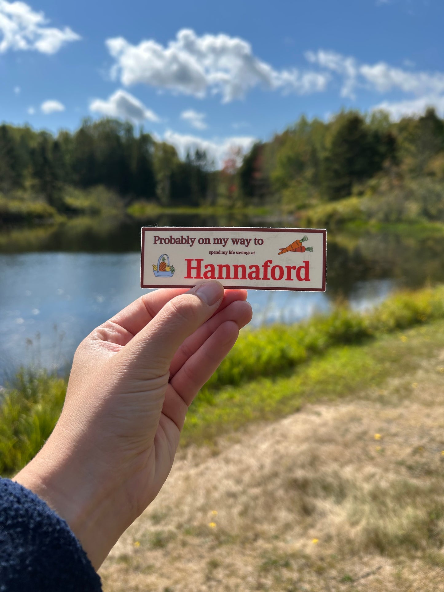 Hannaford Mini Bumper Sticker