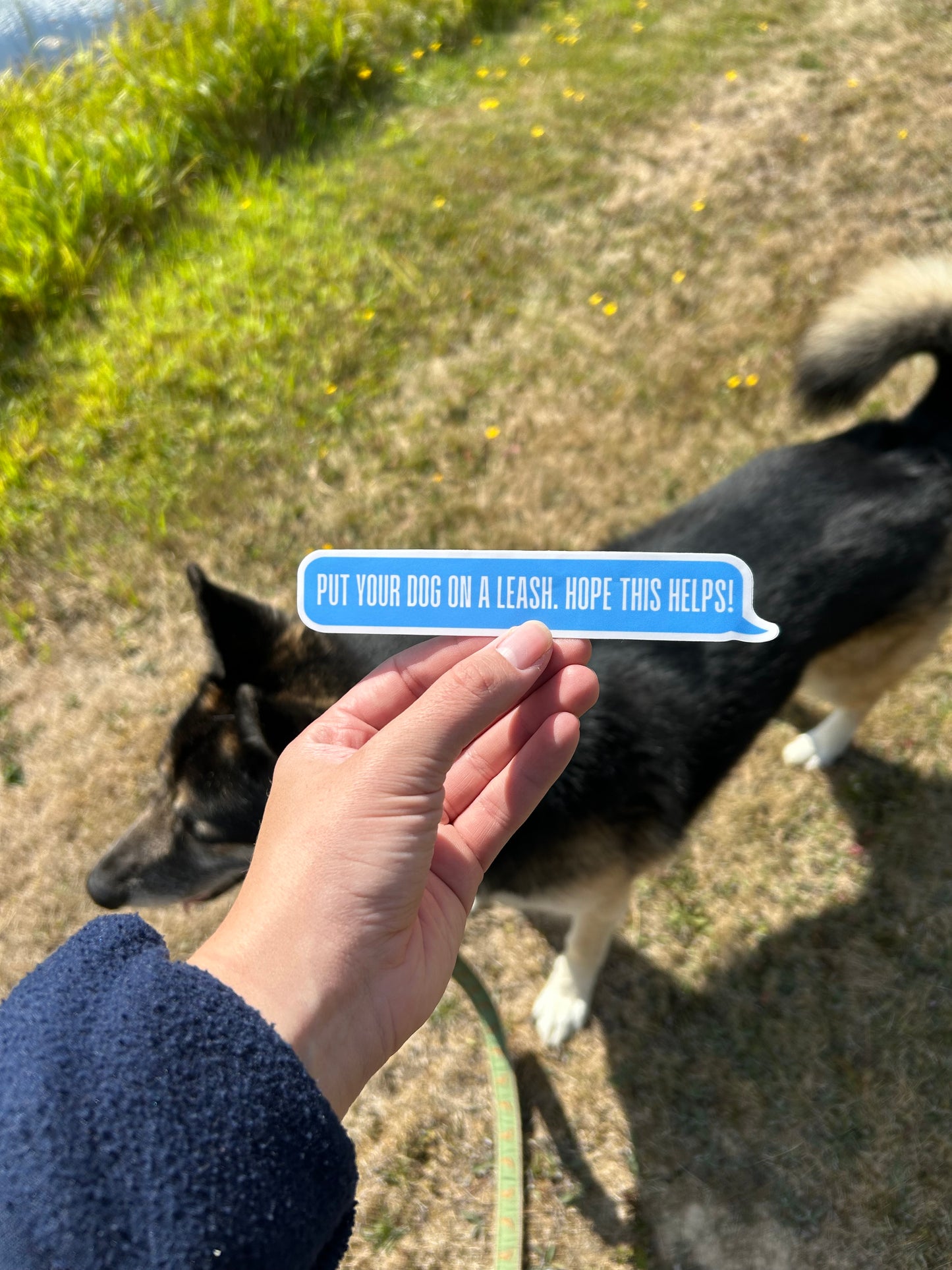 Put Your Dog On A Leash Sticker