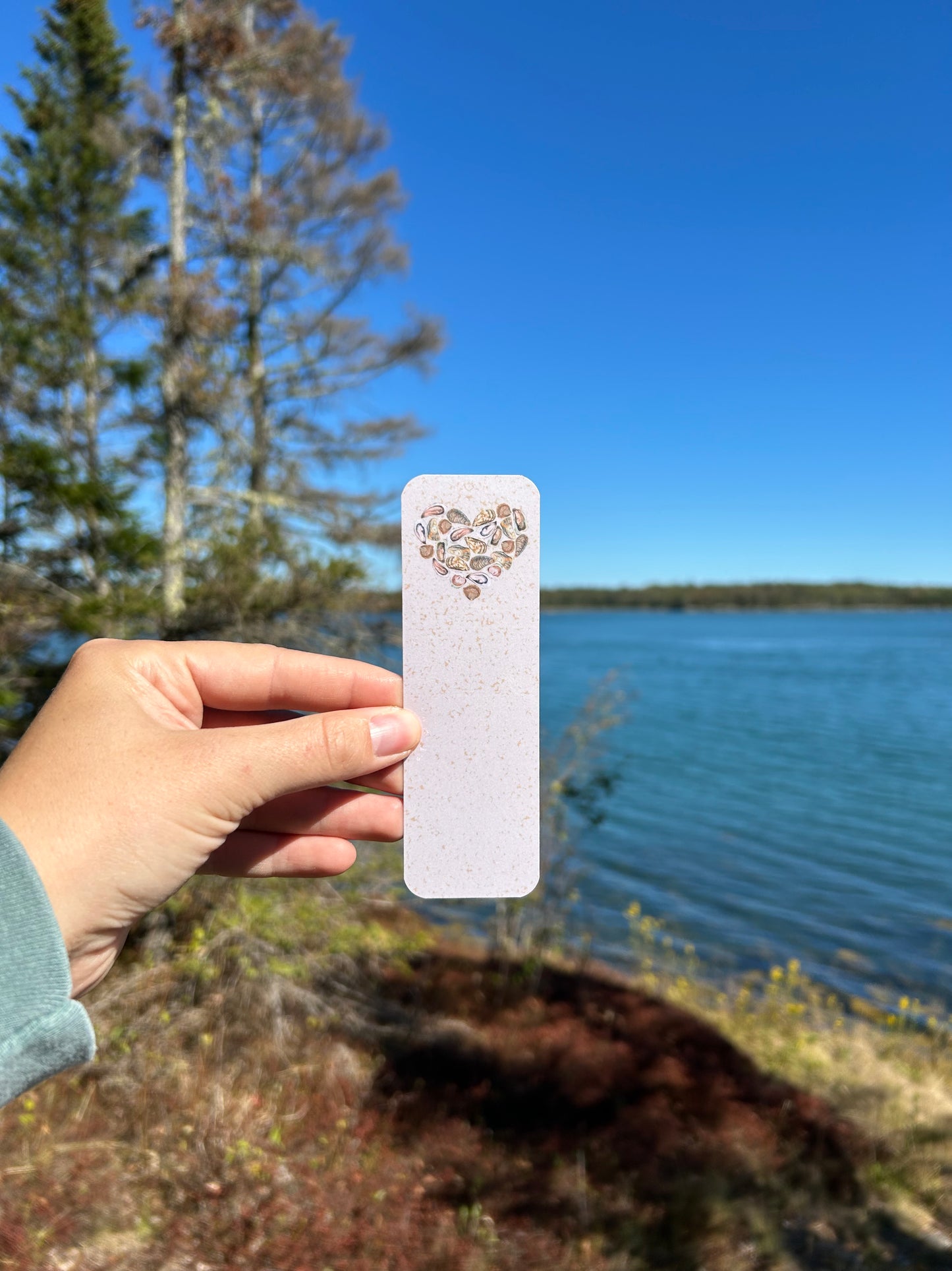 Downeast Clam Bookmark