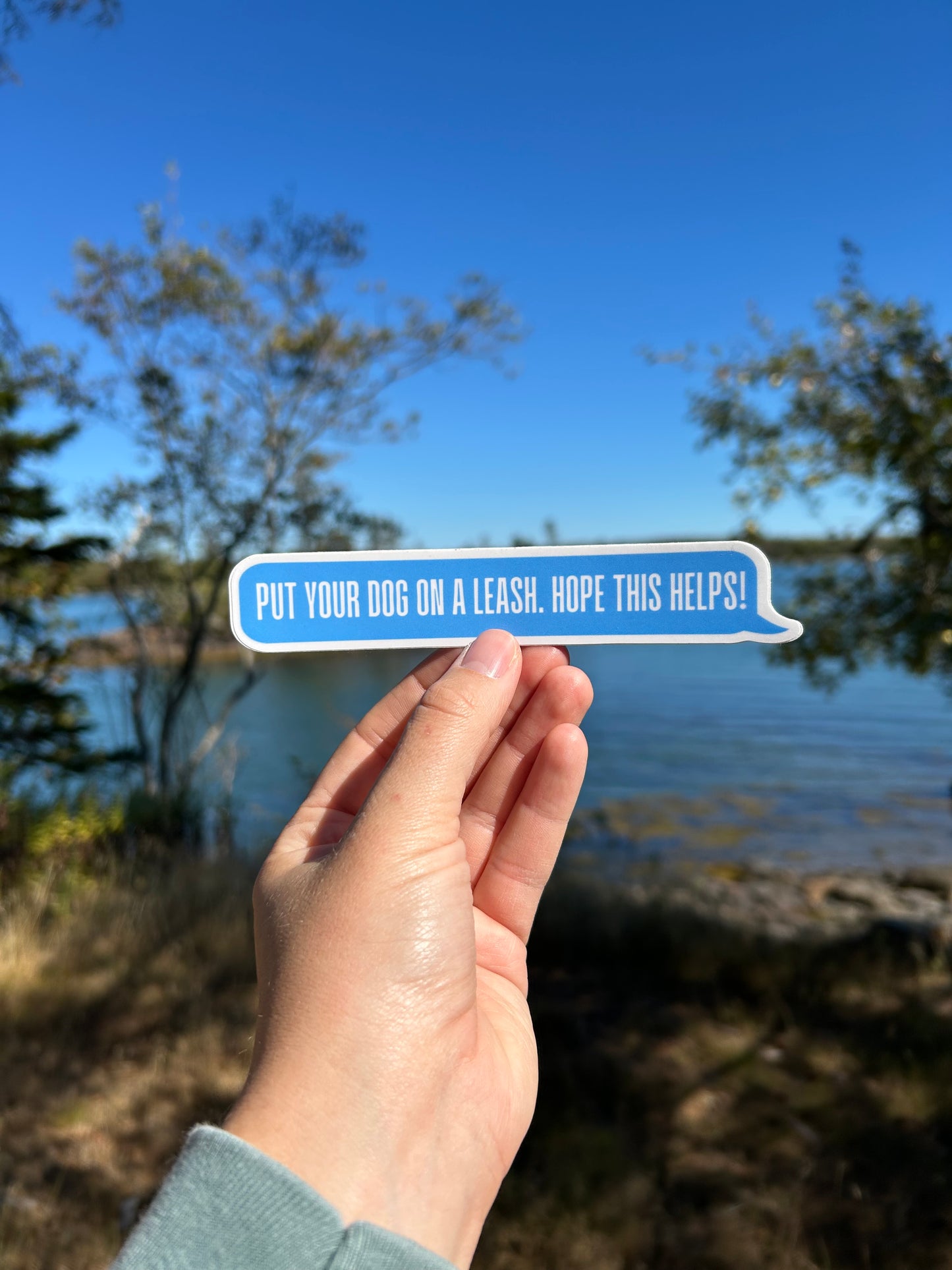 Put Your Dog On A Leash Sticker