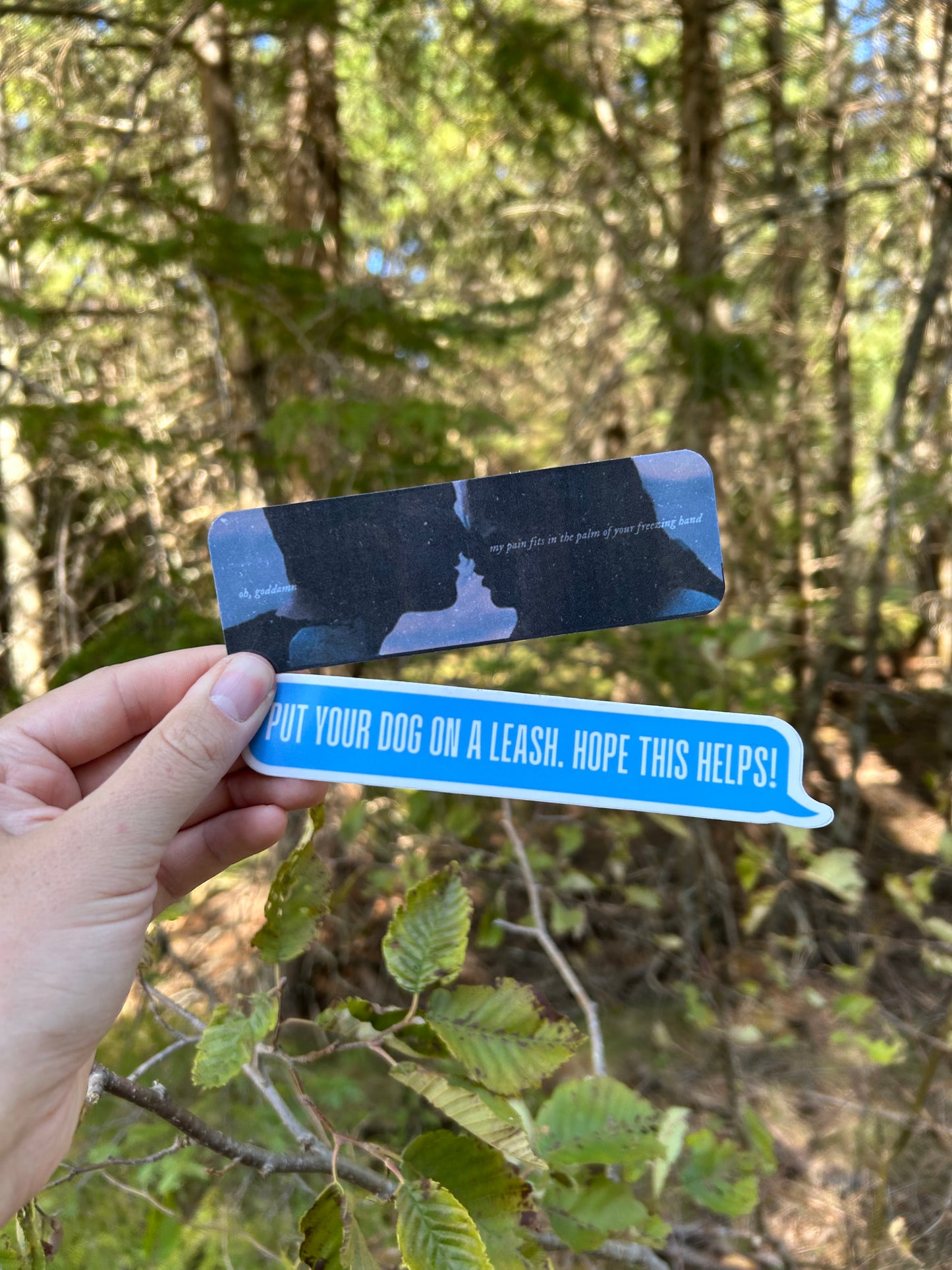 Put Your Dog On A Leash Sticker