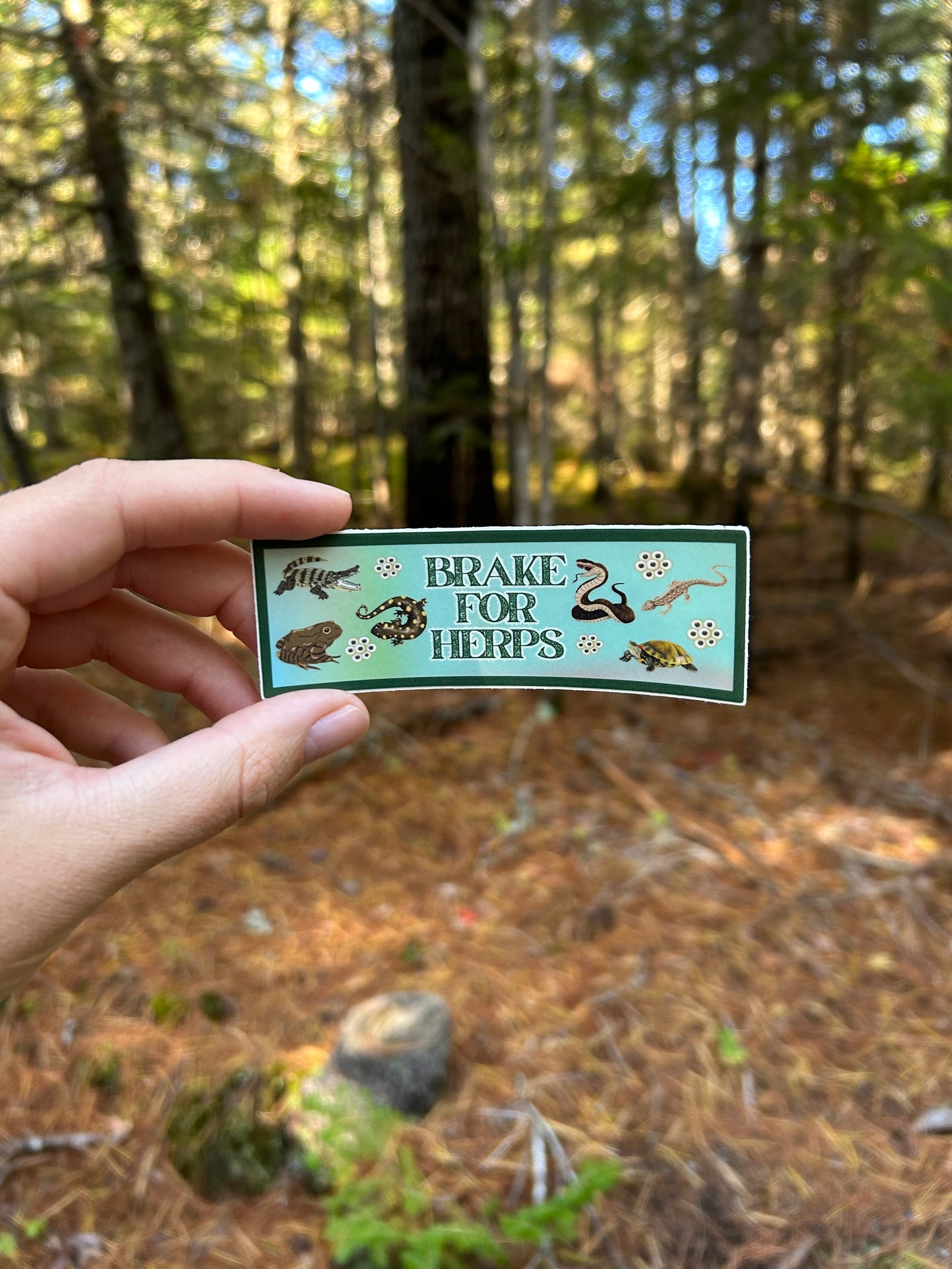 Brake For Herps Mini Bumper Sticker