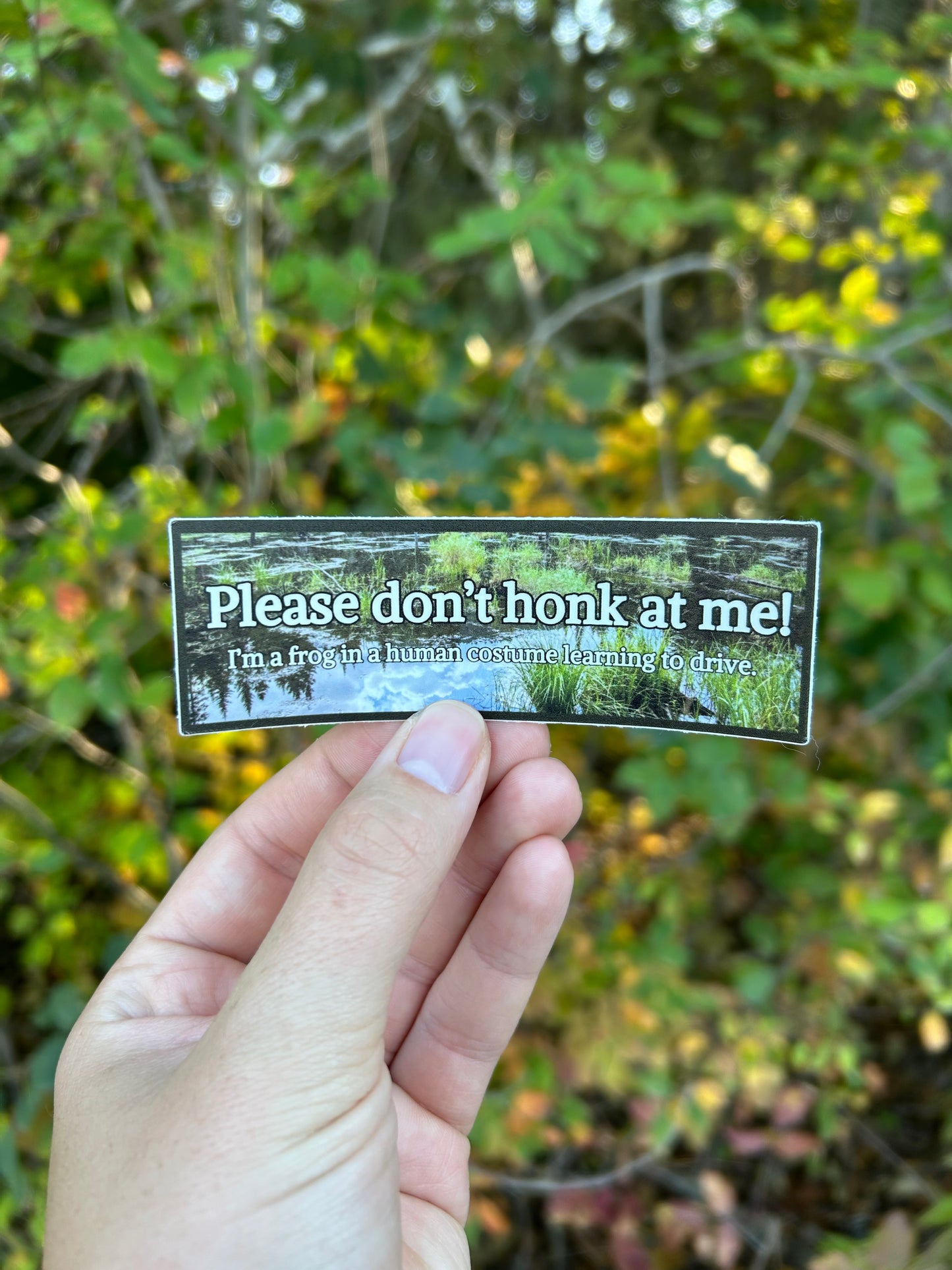 Frog In A Human Costume Mini Bumper Sticker