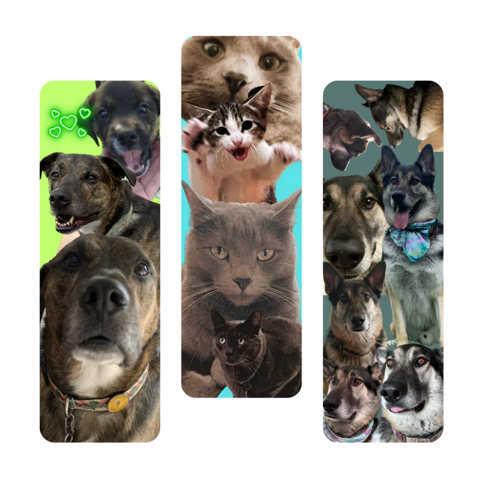 Custom Pet Bookmark