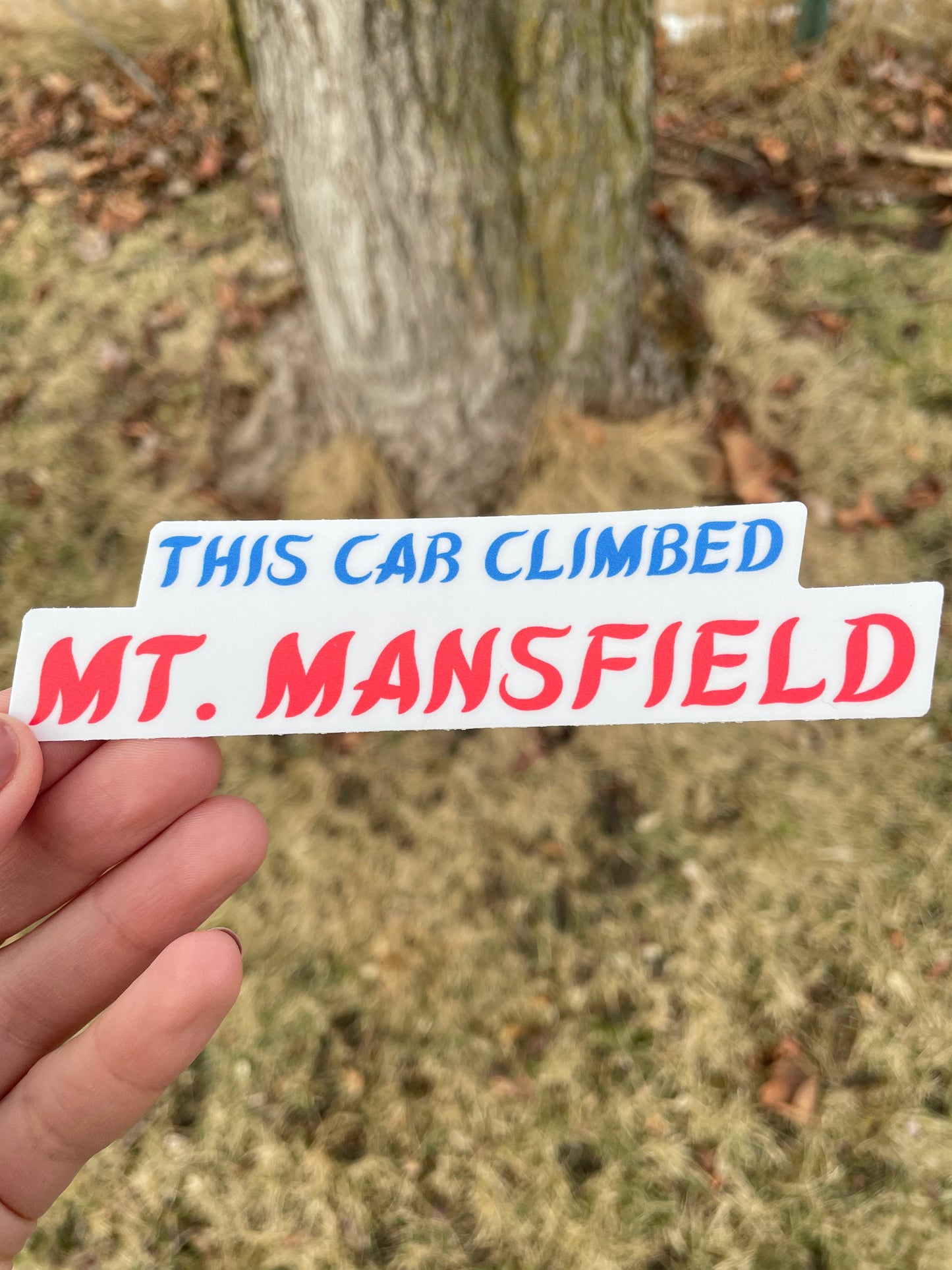 This Car Climbed Mini Bumper Sticker