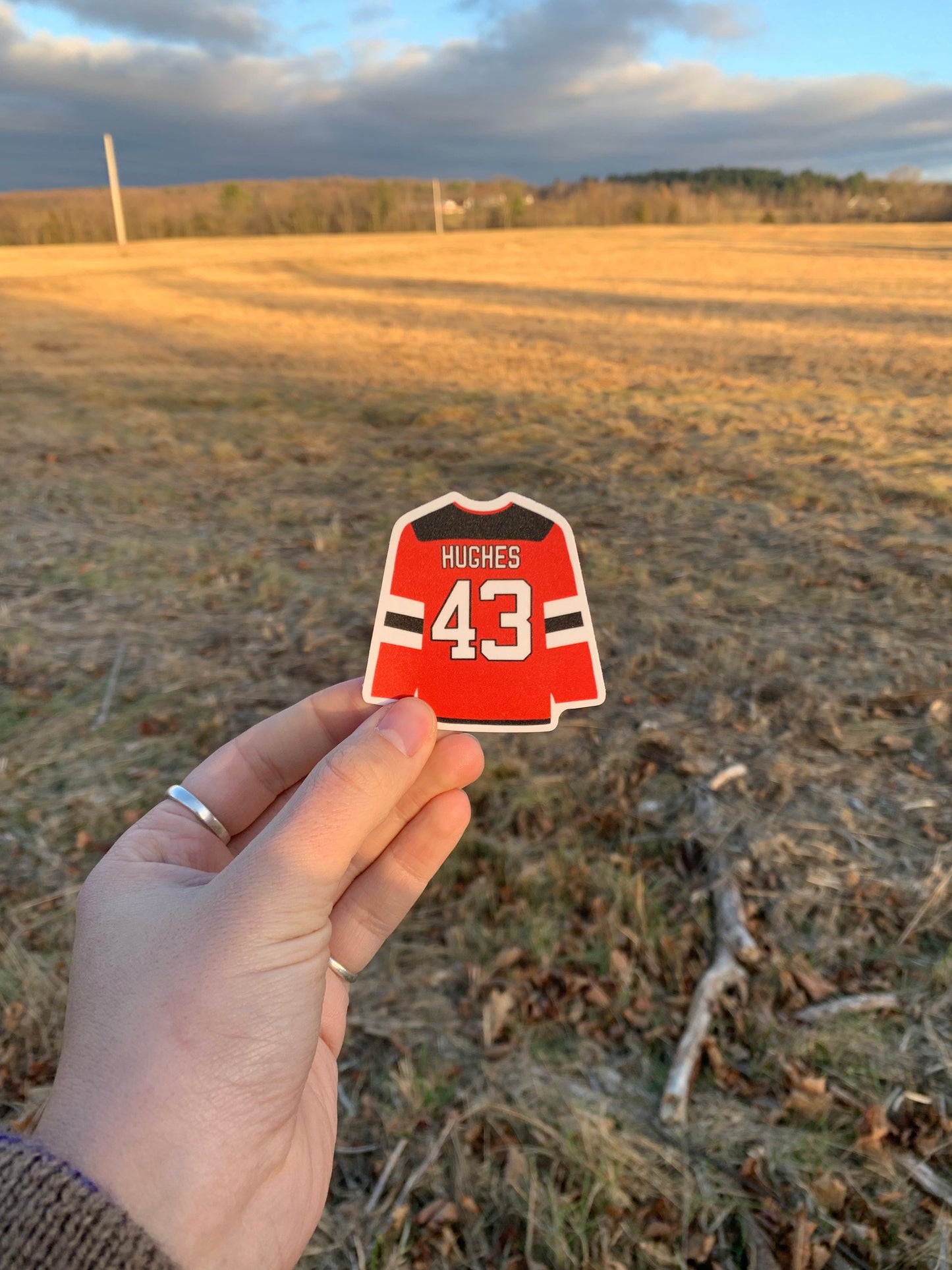Luke Hughes Sticker