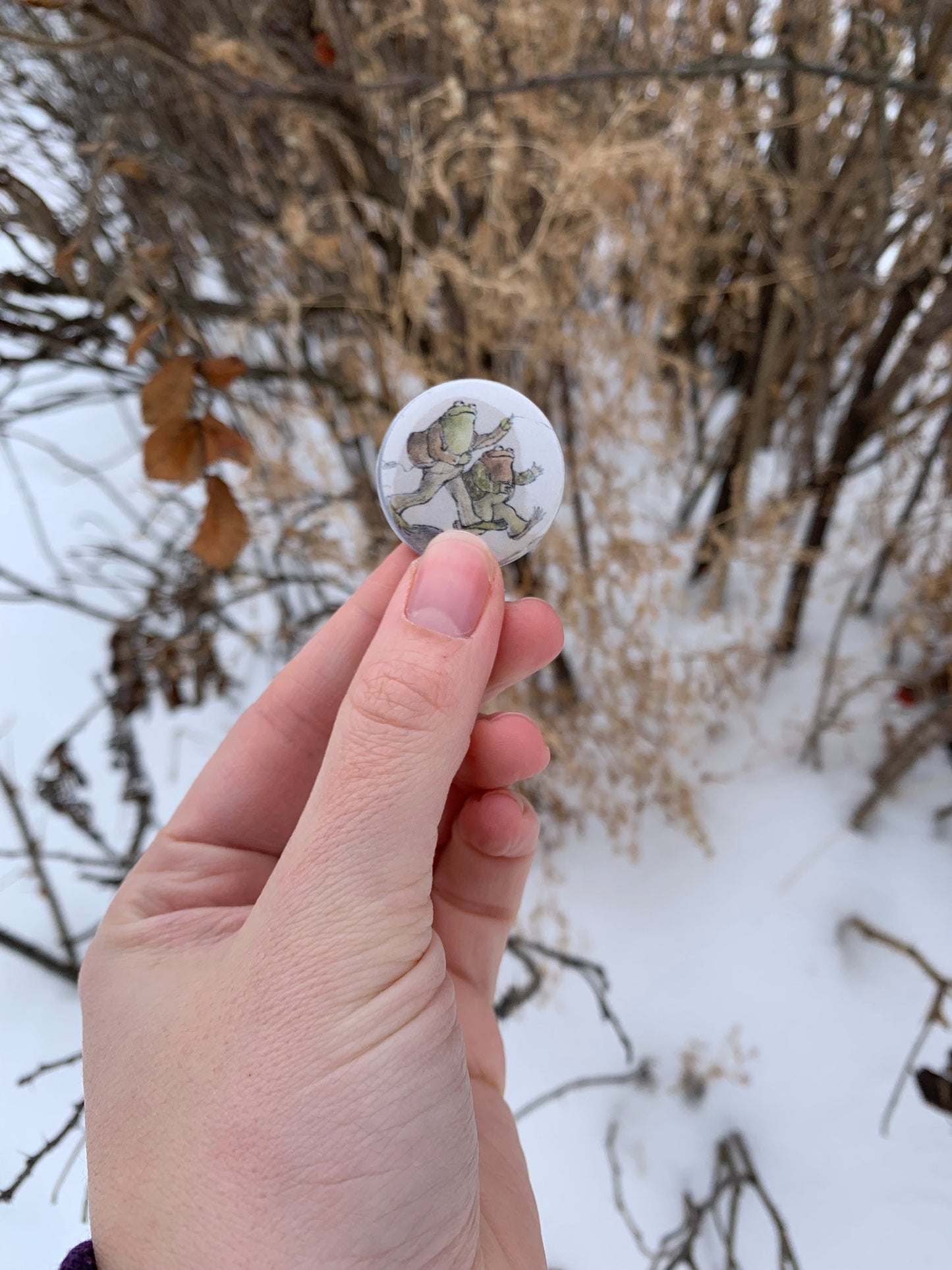 Frog And Toad 1.25" Buttons