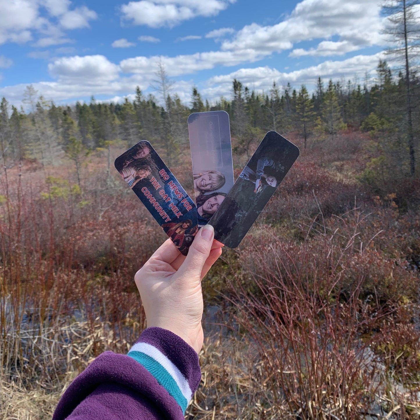 Marsali and Fergus Bookmark