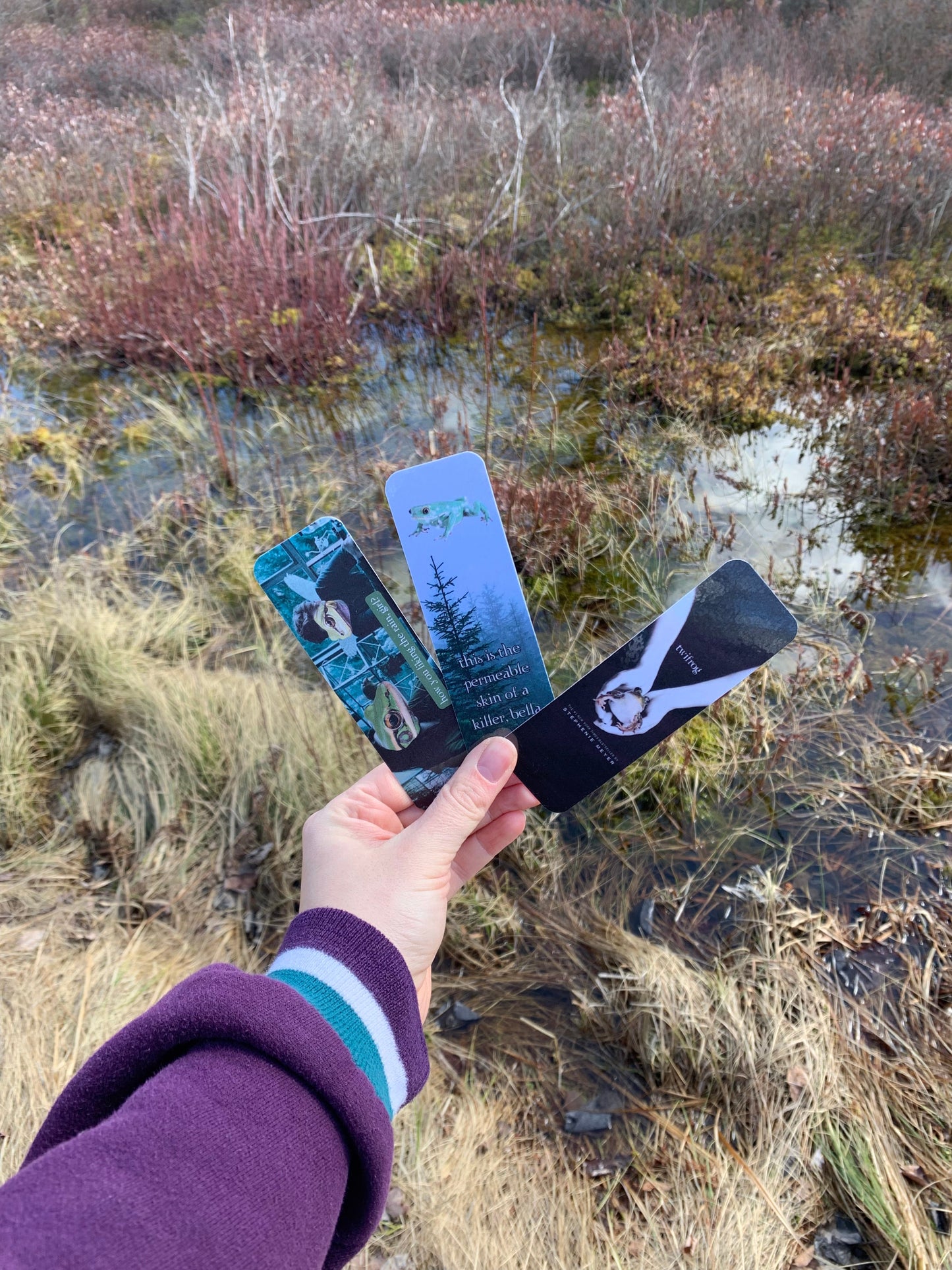 How You Liking The Rain Bookmark