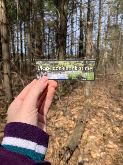Frog In A Human Costume Mini Bumper Sticker