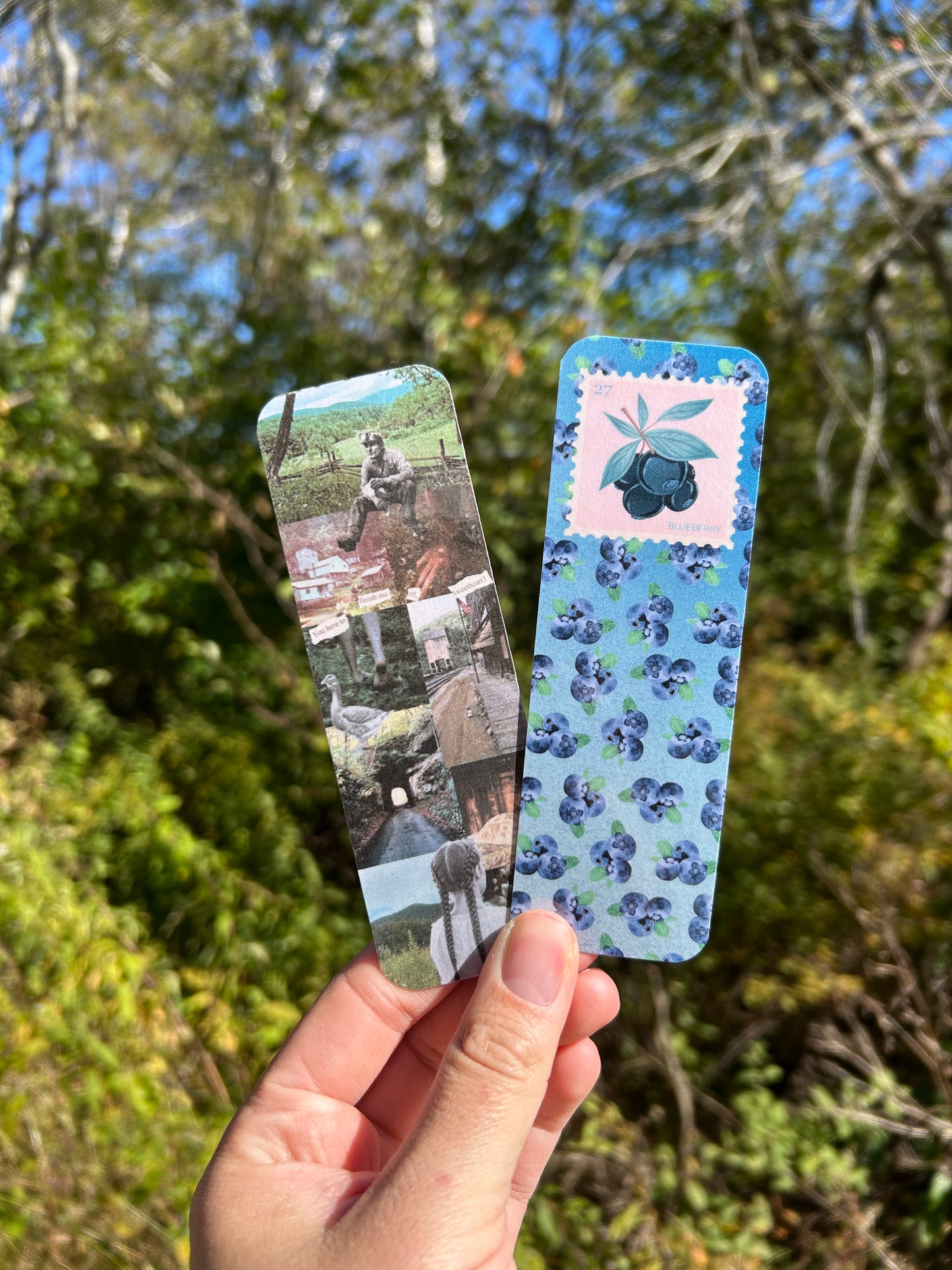 Blueberry Bookmark
