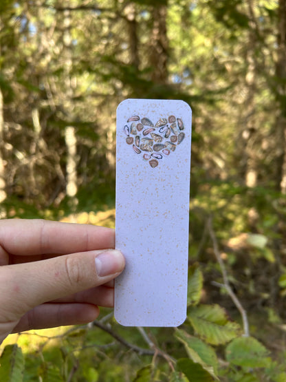 Downeast Clam Bookmark